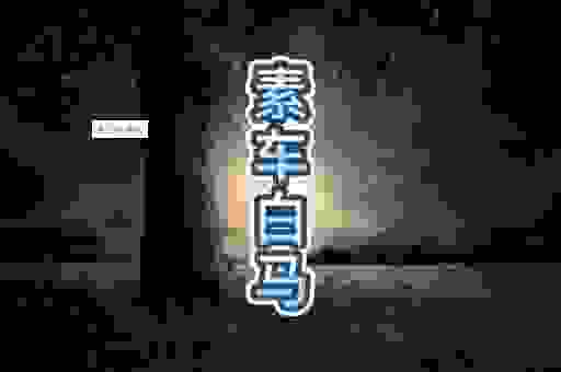 白马素车代表什么生肖？从这个词语意思找到正确答案！