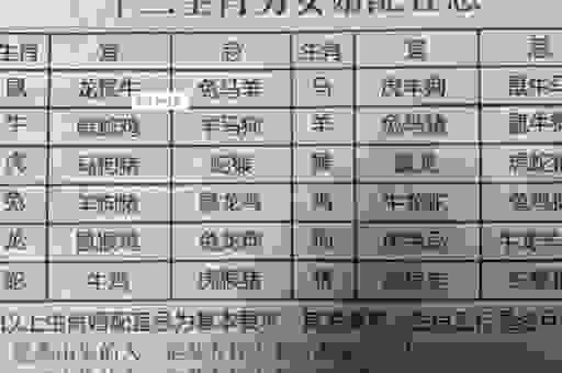 棺材瓤子是什么生肖?看完民间说法你就明白了