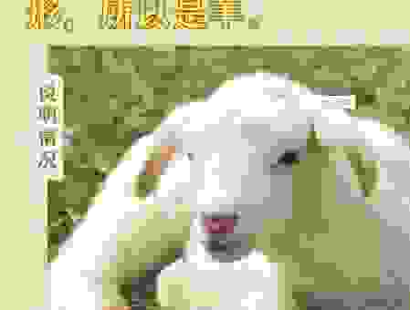 独占鳌头打一正确生肖是什么?揭秘谜底背后的生肖