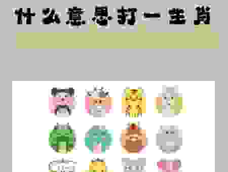 九天之外指什么生肖?解析谜题背后的生肖动物