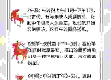 九天之外指什么生肖？解析谜题背后的生肖动物