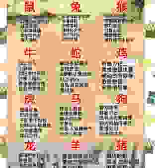 十二生肖猜一猜：卧榻之侧是什么生肖？看完这个解析就懂了！