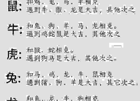 众志成城是什么生肖打一肖?民间流传最广的是这个生肖!