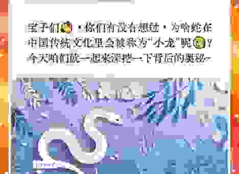 女大十八变代表什么生肖?看生肖蛇和生肖龙的演变!