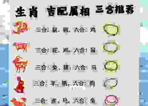 七七四十九是什么生肖？这几个生肖的可能性最大