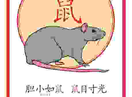 一举两得打一准确生肖,带你了解生肖背后的故事!