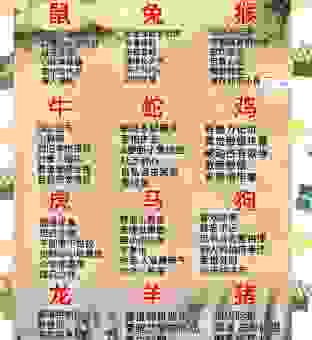 绵绵春雨润万物是什么生肖？这几个生肖的可能性最大