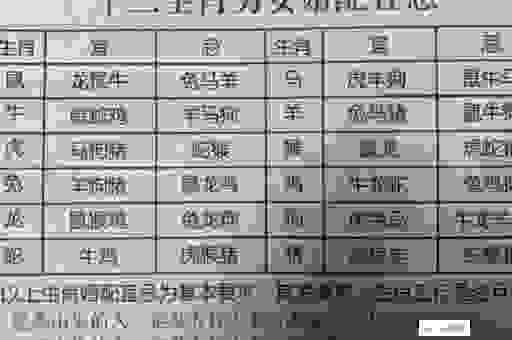 才子佳人对应什么生肖?为您深度解析其中的文化内涵!