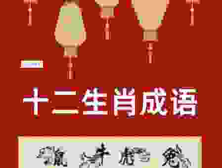 鸡飞狗跳闹重生是什么生肖？带你深入分析生肖中的成语！