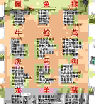 万紫千红艳阳天指什么生肖？详解这个生肖的深刻含义