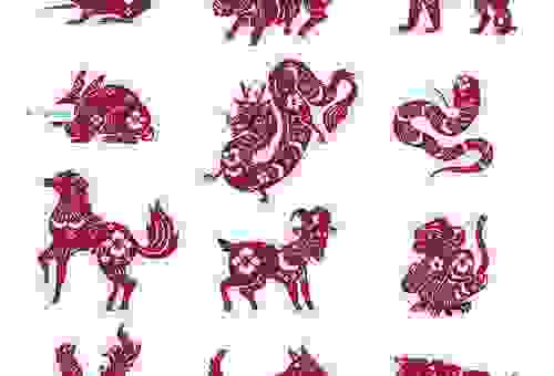 万紫千红艳阳天指什么生肖?详解这个生肖的深刻含义