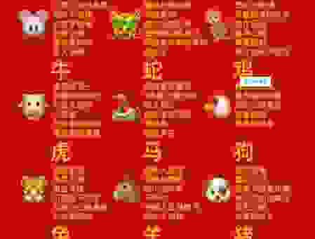 插翅难逃是什么生肖?快来看看你的生肖在不在其中