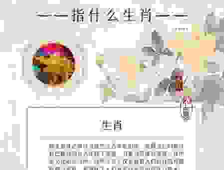 雁过拔毛是什么生肖的意思？快来看看你猜的结果对不对