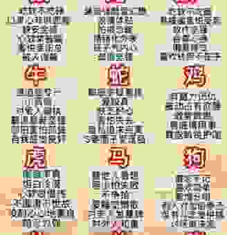 十二生肖里包罗万象指哪个?专家带你深度分析!