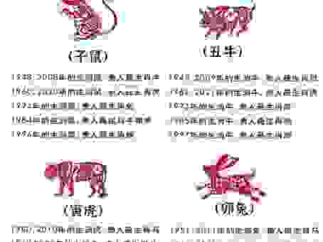 十二生肖里包罗万象指哪个？专家带你深度分析！