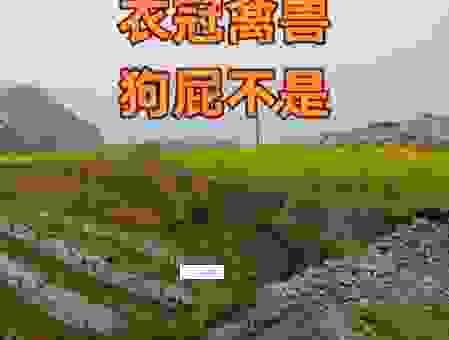 衣冠禽兽指什么生肖动物?这几个动物最符合特征!