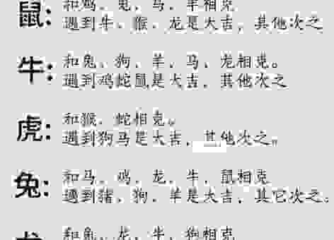 飞黄腾达指什么生肖最红？带你了解这个生肖的起源！