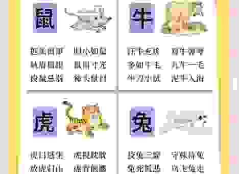 满腹经纶是什么生肖?看完这个生肖的解释你就明白了