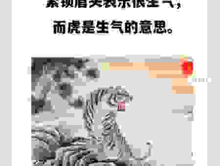 南腔北调是什么生肖？为您详细解答生肖谜题的含义