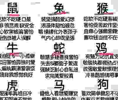 乱七八糟是什么生肖？看完这个生肖分析你就懂了！