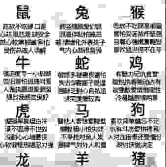 乱七八糟是什么生肖？看完这个生肖分析你就懂了！