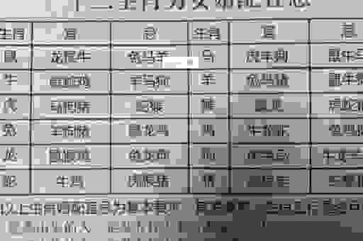 阋墙谇帚代表哪一个生肖?看完这个解释你就彻底明白了!
