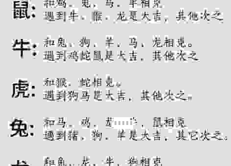 衣锦还乡代表什么生肖?带你深入了解其中的生肖文化