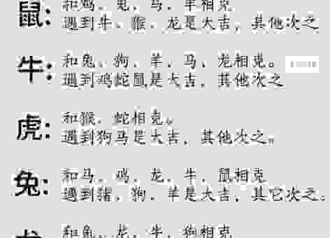 汗马功劳是什么生肖的代称?从字面意思轻松找答案!