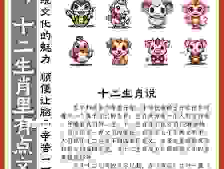 昂首挺立是什么生肖？带你深入解析十二生肖文化