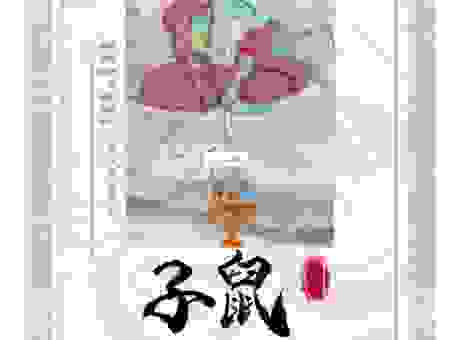 昂首挺立是什么生肖?带你深入解析十二生肖文化