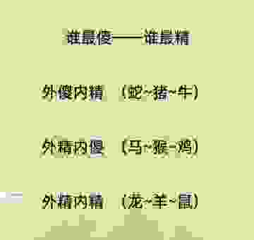三朝元老的动物打一正确生肖,资深玩家带你解析谜底!