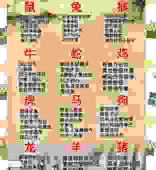一举成名代表什么生肖？这篇内容帮你快速找到答案