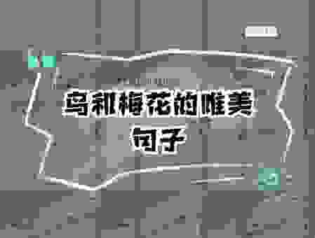 鸟语花香是什么生肖？看完这篇文章你就明白了！