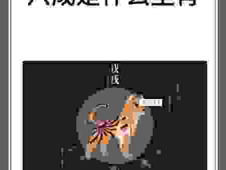 四王下山管天下是什么生肖？老辈人常说的答案是这个