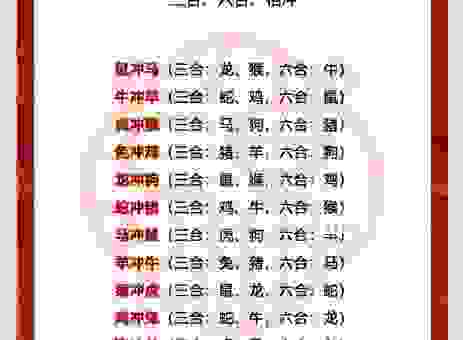 蛇入鼠出是什么生肖怎么看？专家为你深度解析