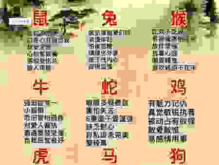 日积月累打一个生肖是什么？快来看看这个生肖准不准！