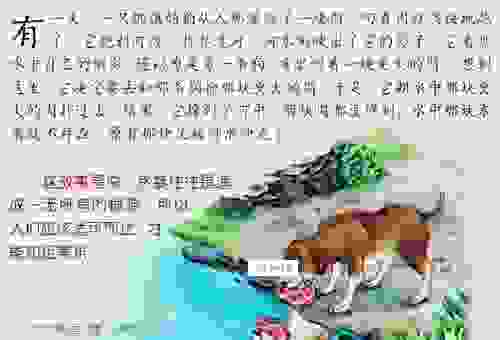 狗拿耗子王天下是什么生肖?民间俗语中隐藏的生肖秘密