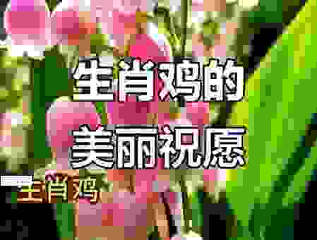 鸟语花香代表什么生肖？这几个生肖的寓意竟然这么美！