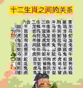 熟门熟路什么生肖最稳？分析这几个生肖的过人之处！