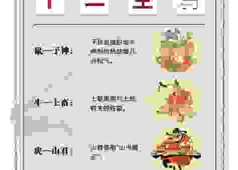 母猪上树是什么生肖的代称？这几个生肖的可能性最大！