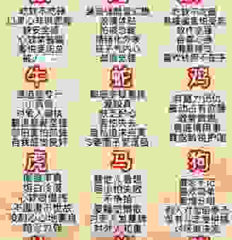 时过境迁是什么生肖?为你详细分析这个词语的生肖属性