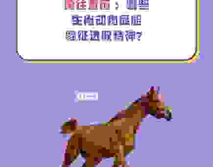 勇往直前是什么生肖?为你解析生肖背后的含义!