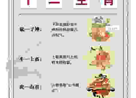 解谜半斤八两是什么生肖，这个生肖的特点非常符合