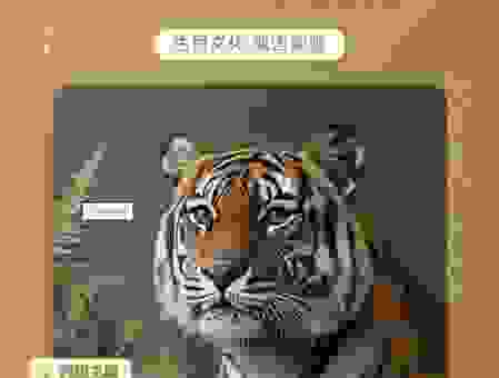 猜猜浑身是胆是什么生肖？这几个答案值得参考！