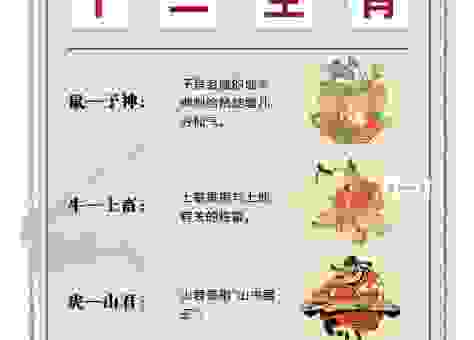 猜猜浑身是胆是什么生肖？这几个答案值得参考！