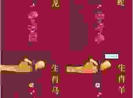 三三两两指什么生肖?看完这个解释你就彻底明白了!