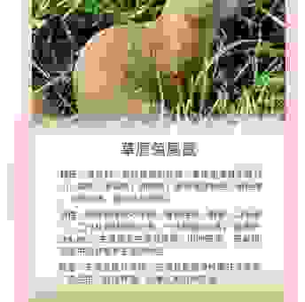 獐头鼠目打一生肖是什么动物？详细分析背后的含义！