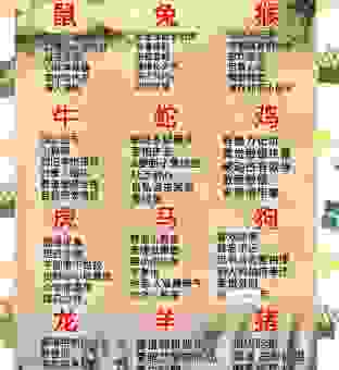 野外大地打一生肖是什么生肖？这几个生肖的可能性最大！