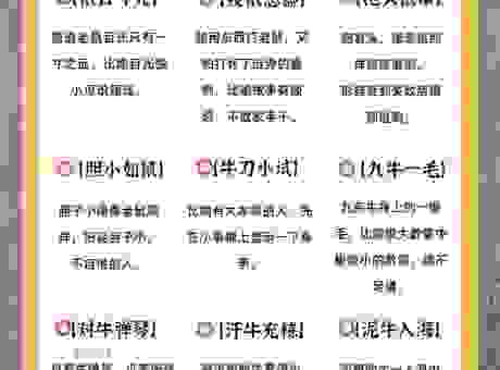 半斤八两打一生肖对应的动物，解析谜底背后的深意