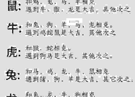 受宠若惊指什么生肖?这篇分析帮你快速找到正确答案!